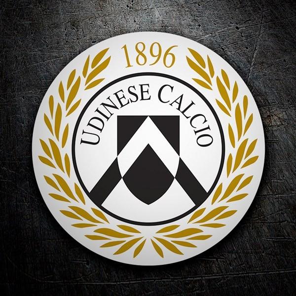 安莎：波佐家族1.5亿欧将乌迪内斯卖给国外投资者