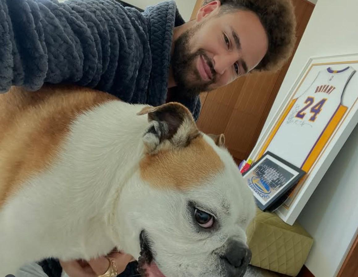 克莱告别爱犬Rocco：我知道，你还会在狗狗的天堂里玩篮球