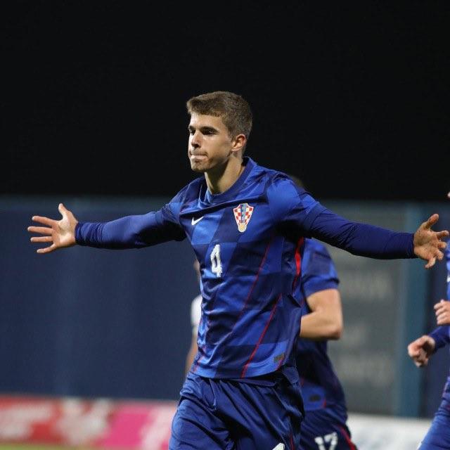 记者：汉堡有意租借武什科维奇，热刺将评估他的未来