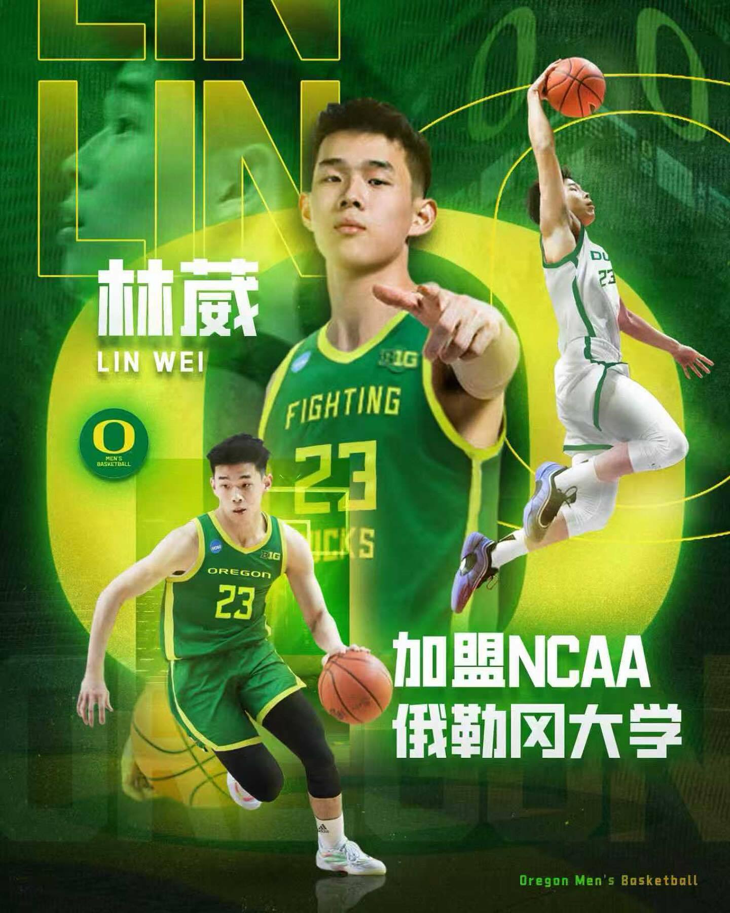 官方：CBA本土得分王林葳加盟俄勒冈大学，新赛季征战NCAA