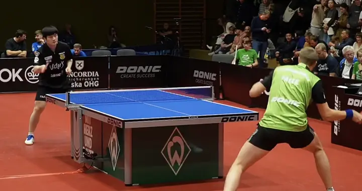 樊振东3-0法尔克！丢一场后迅速调整，保持坚决压制就对了！