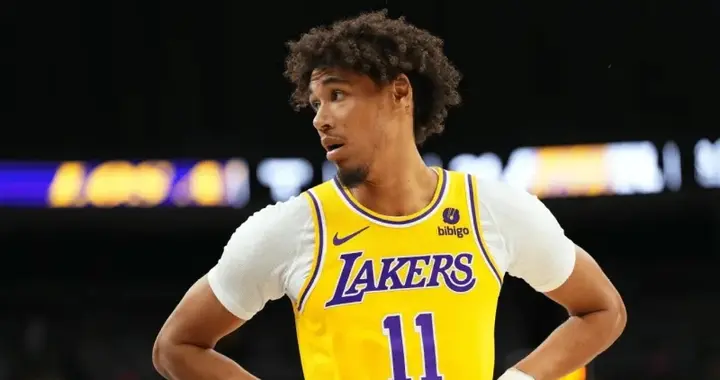 湖人替补两奇兵进步太大了！海斯稳固内线，拉拉维亚成最佳第六人