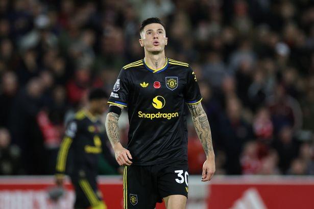 谢林汉姆：枪手签下哲凯赖什而非谢什科，得到了更出色的中锋