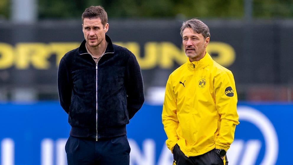 图片报：多特有意瑞典16岁中锋菲林，后者目前瑞典超9场进2球