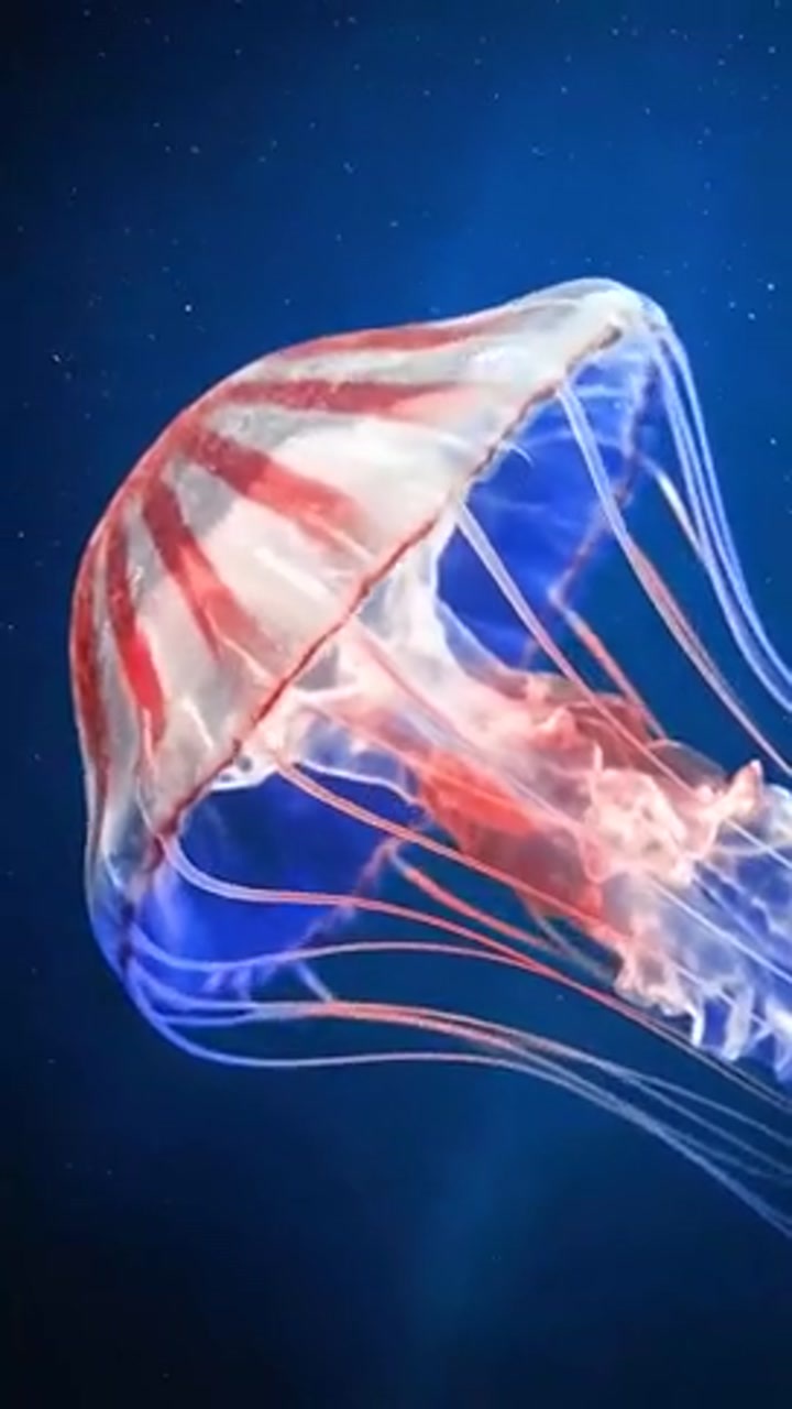 国米社媒晒出潜艇探索海底视频 预热欧冠对阵马竞