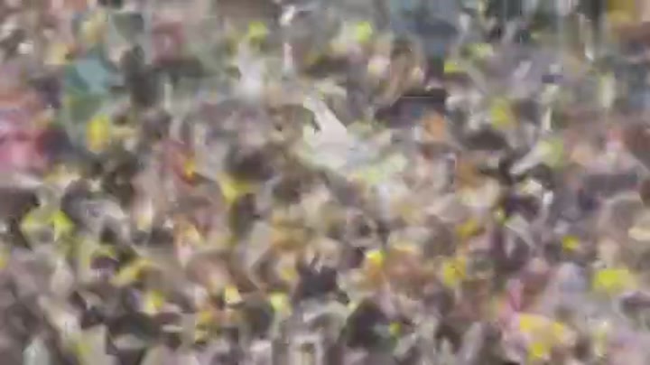 总冠军捧杯时刻！梅西捧起冠军奖杯全队欢呼庆祝