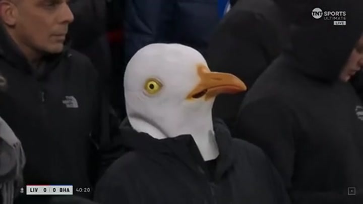 利物浦与布莱顿的足总杯上，带着海鸥头套的球迷成功抢镜