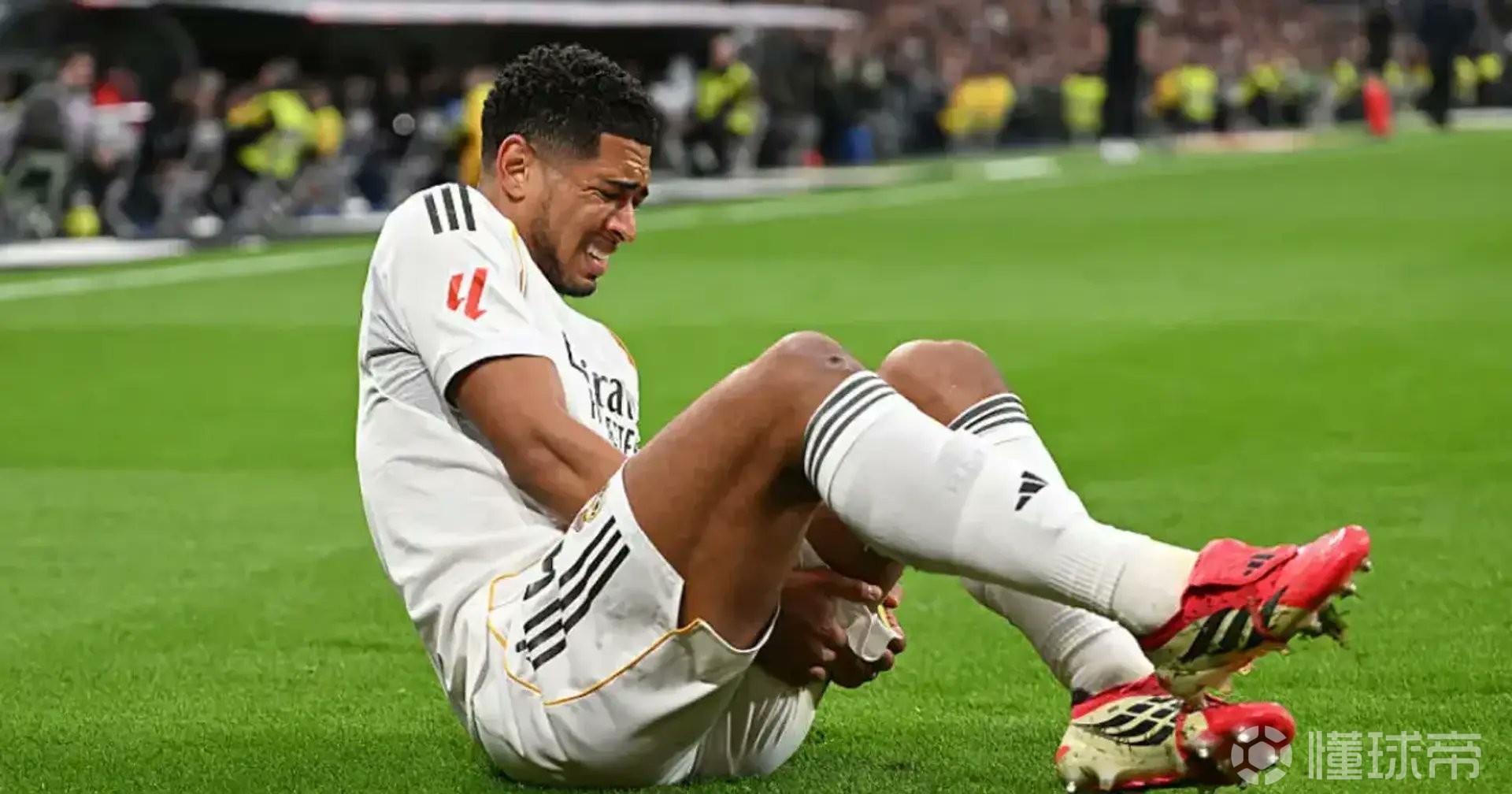 记者：贝林厄姆似乎要到四月中旬才能回归