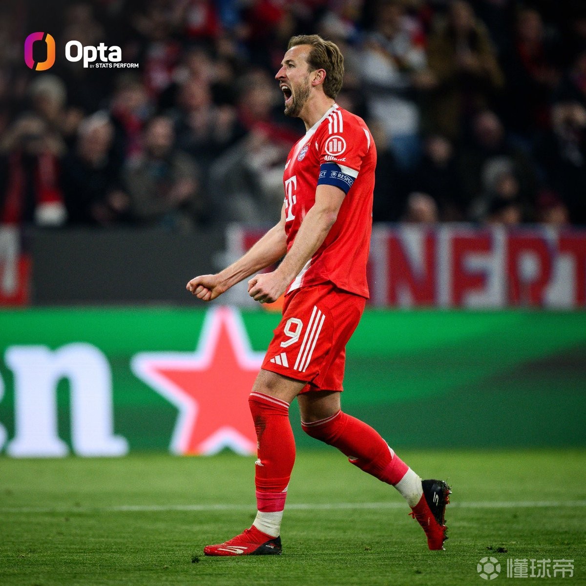 凯恩欧冠50球仅用了66场，只有哈兰德和范尼比他更少