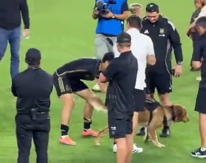 实拍孙兴慜一路小跑 疯狂撸狗停不下来