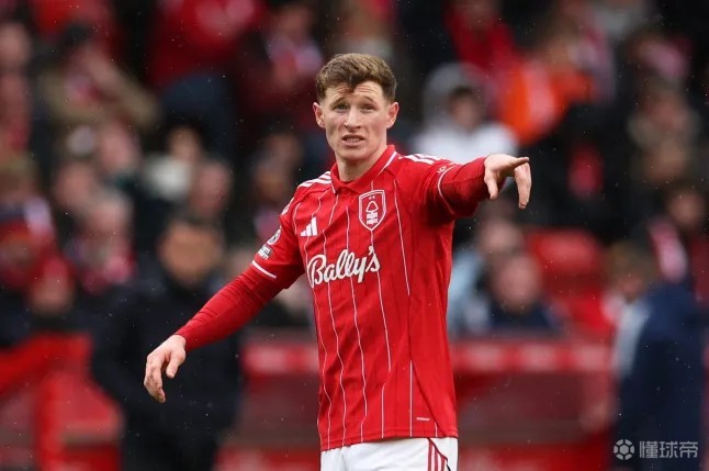 费迪南德：曼联应该优先签下安德森，而不是吉马良斯和托纳利