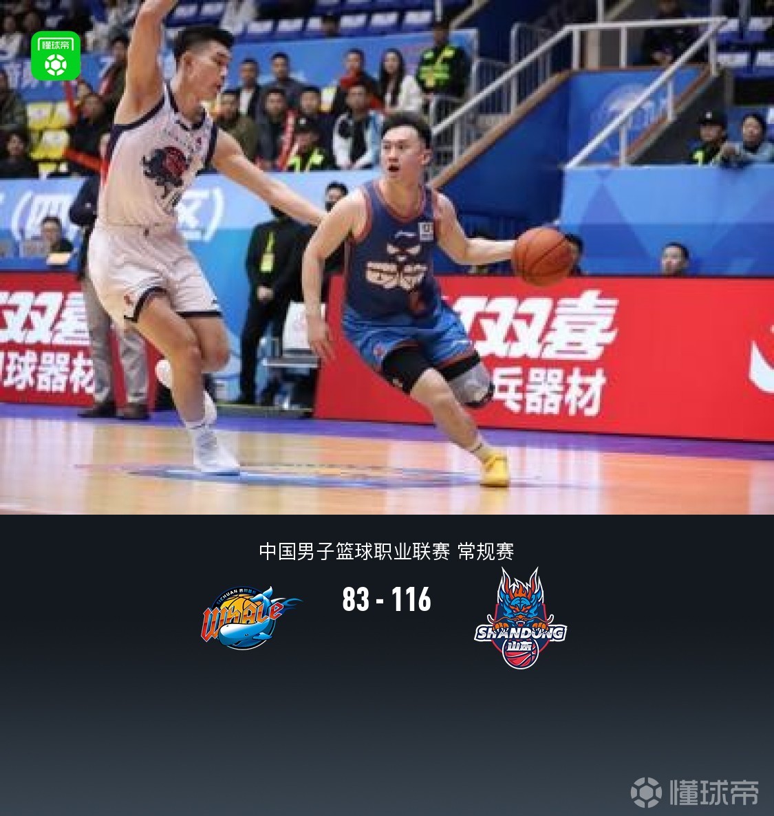 山东116-83送四川29连败，陈林坚18分，约翰逊21+7