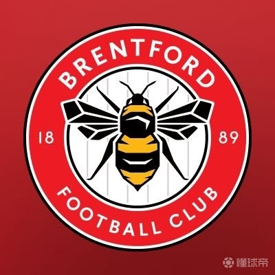 电讯报：两名布伦特福德球员制止了袭击，救助了一名男子