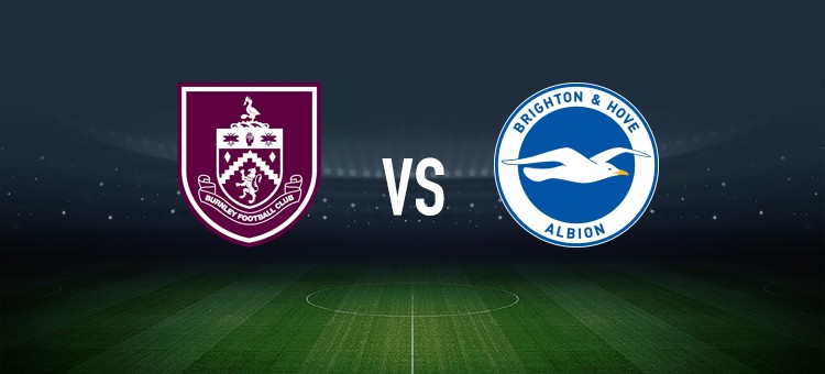 伯恩利vs布莱顿：沃德-普劳斯、杜布拉夫卡首发，维尔贝克、格罗斯出战