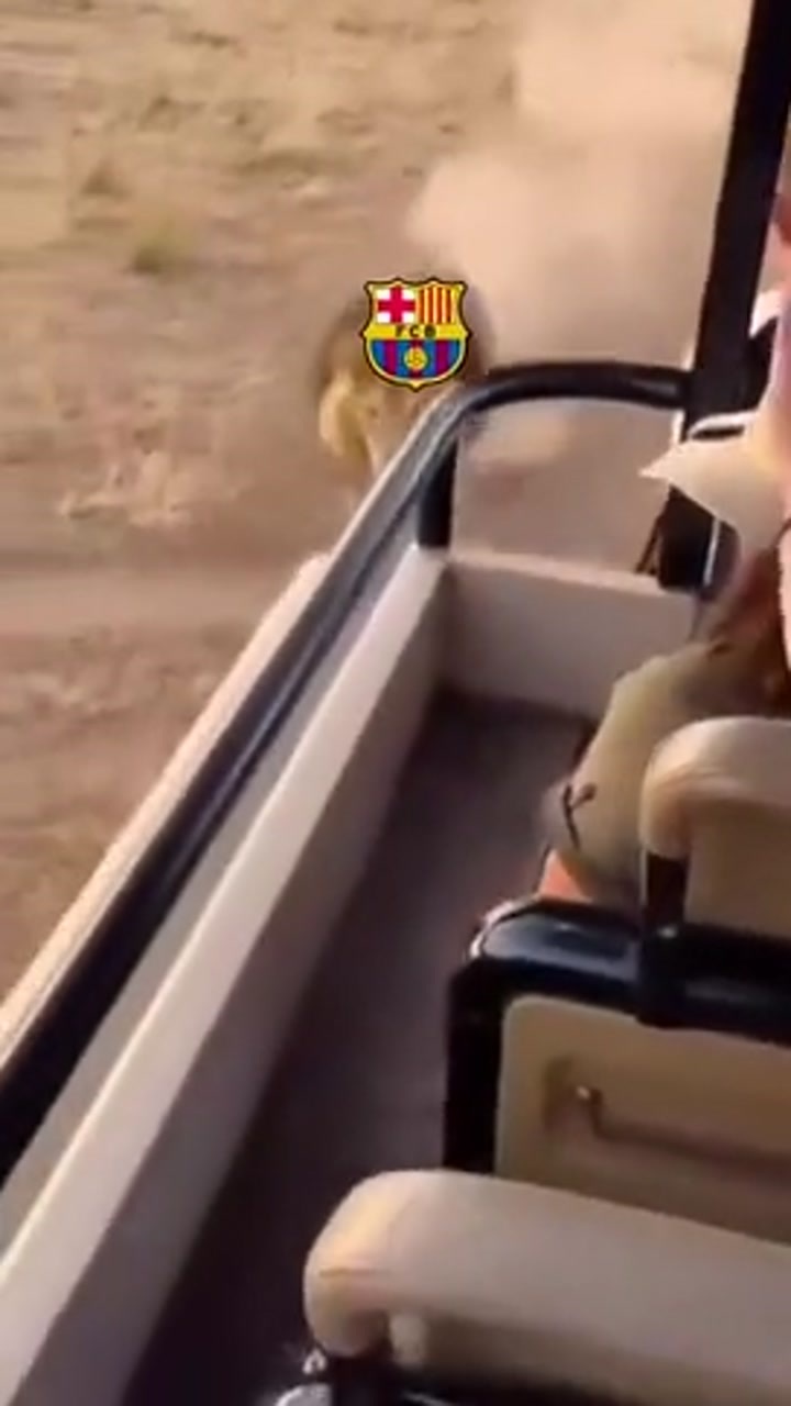 疯狂嘲讽！马竞官方晒视频：巴萨是雄狮？其实是戴头套的狗！