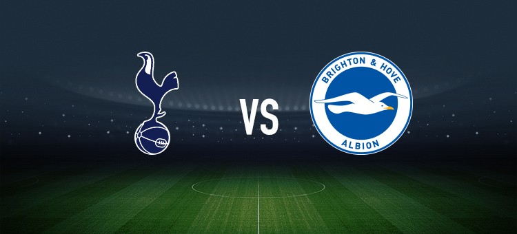 热刺vs布莱顿：穆阿尼、加拉格尔首发，维尔贝克、格罗斯出战