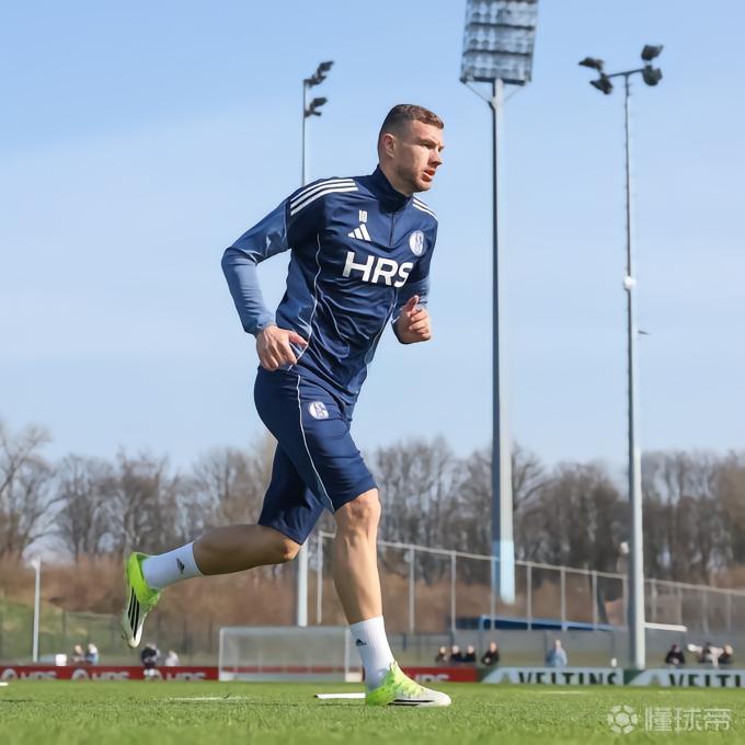 沙尔克04更新球队伤情：哲科已逐渐康复，目前将先进行单独训练