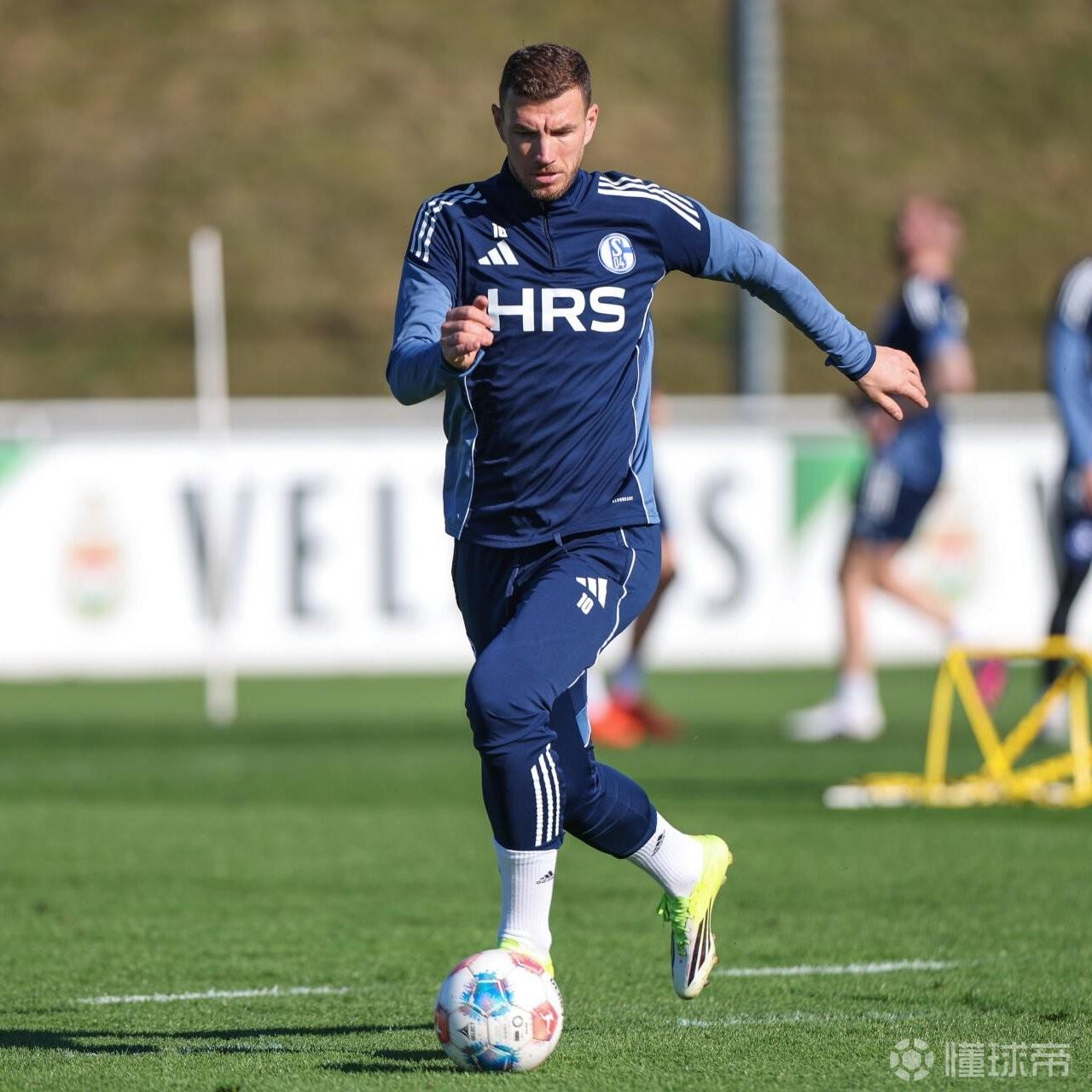 沙尔克04官方：哲科恢复情况良好，预计在下轮对杜塞的比赛中回归