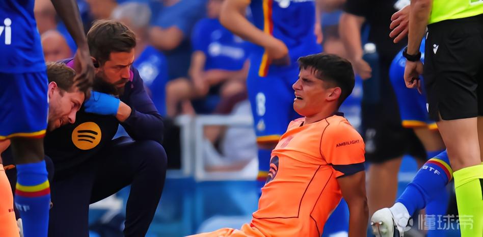 世体：赫塔费草皮情况西甲最差，赫拉德-马丁差点因此受伤