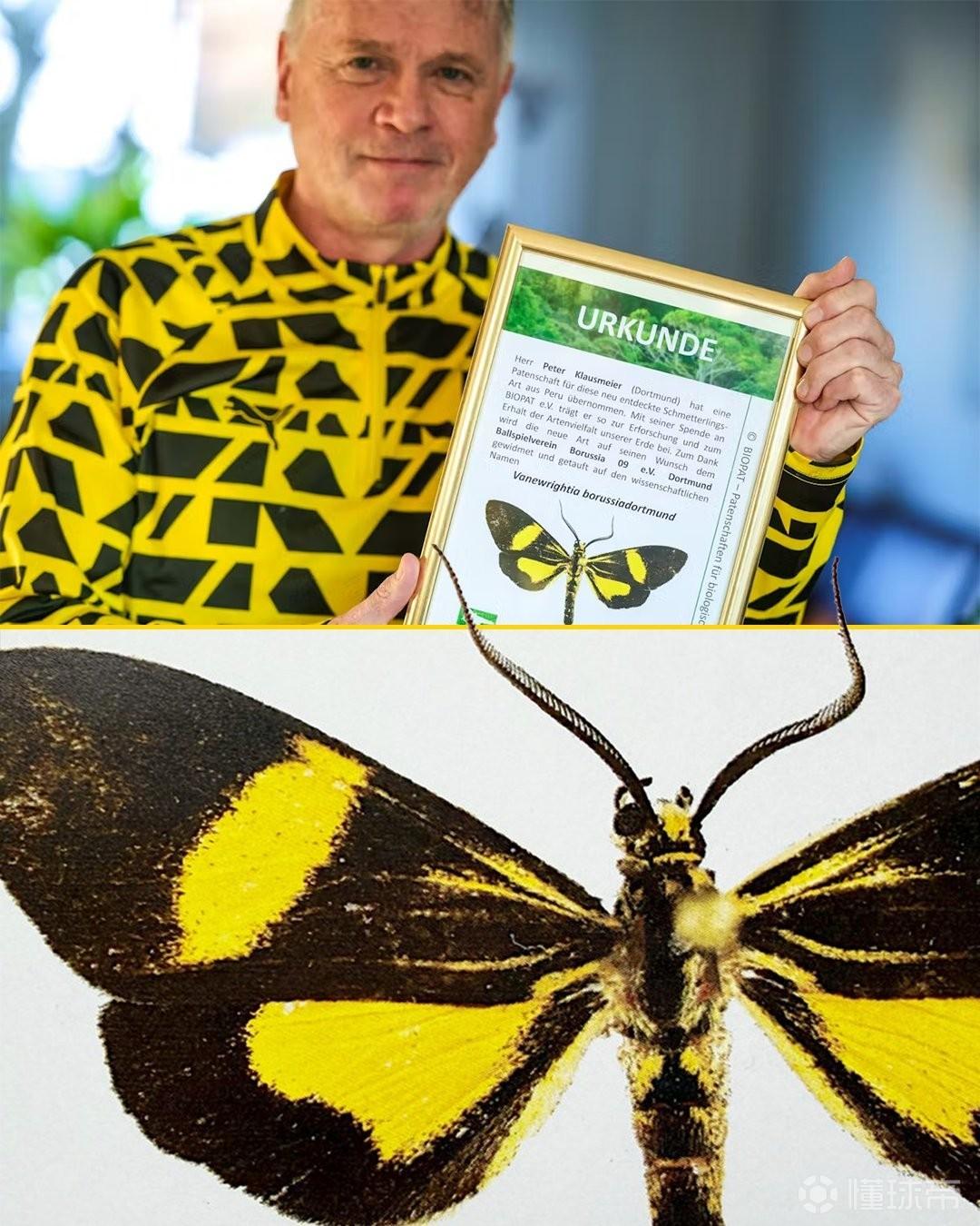 致敬，生物学家克劳斯迈尔将发现的全新蝴蝶品种命名为多特蝶
