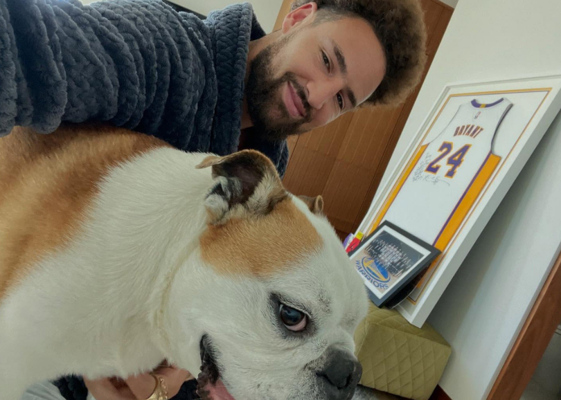 克莱缅怀爱犬Rocco：我会非常想念它，它是一条王朝之犬
